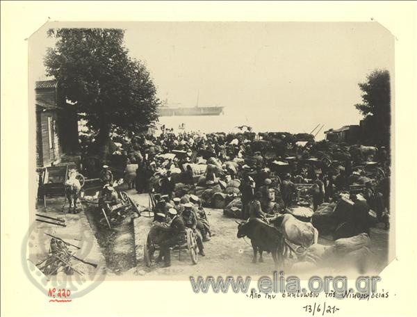 151δ. Πλήθος στη Νικομήδεια αναμένει τα πλοία για να γλιτώσει, Ελιά